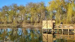 Sukorói Arboretum